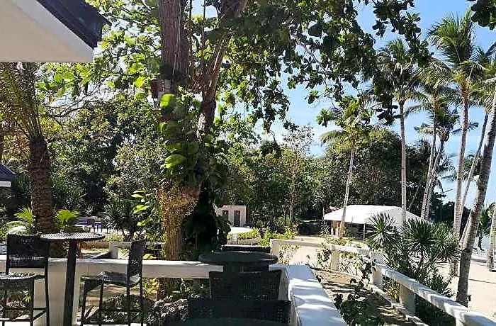 Anaya 3*